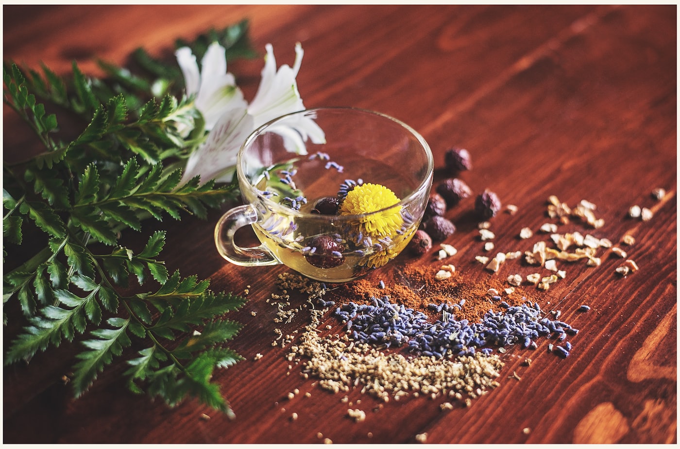 Plantas medicinales y fitoterapia
